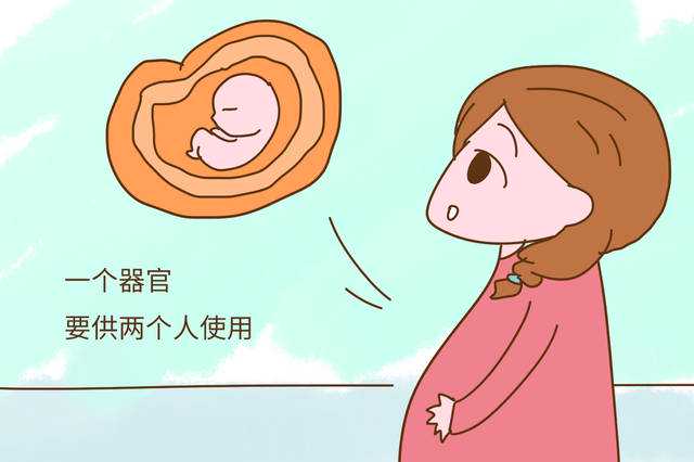 上海代怀孕捐卵多少钱，上海供卵机构哪有（上海供卵代怀机构）